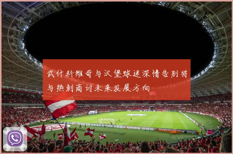 武什科维奇与汉堡球迷深情告别将与热刺商讨未来发展方向